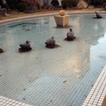 Duck statues on frozen pool