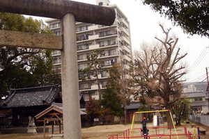 Playground overshadowed by apartment building