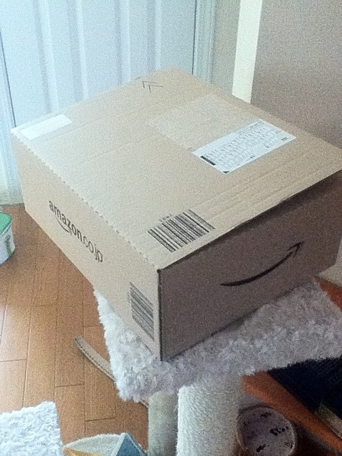Amazon Box