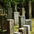 Stone blocks in a garden