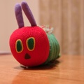 The very hungry caterpillar pencil case