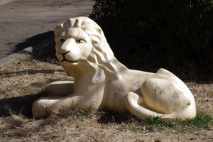 Lion statue in the park