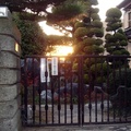Sunset through gate