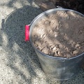 A bucket of dirt
