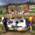 HDR Cowseat