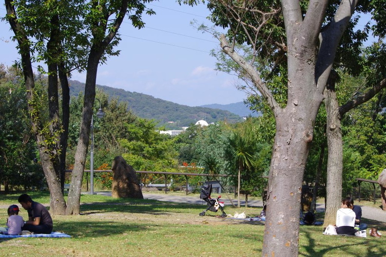 20111016_133942_2.JPG