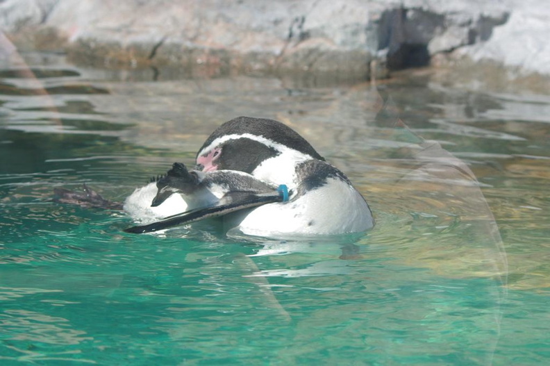 20111016_141907_2.JPG