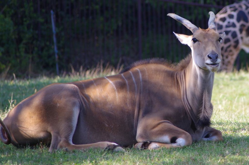 20111016_144210_2.JPG