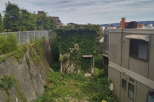 Overgrown house