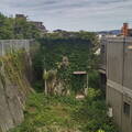 Overgrown house