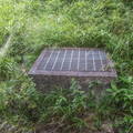 Drain