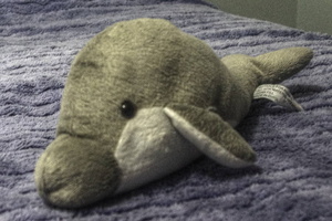 Stuffed Dolphin