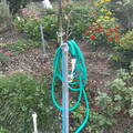Hose