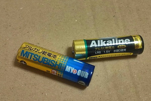 AA alkaline batteries