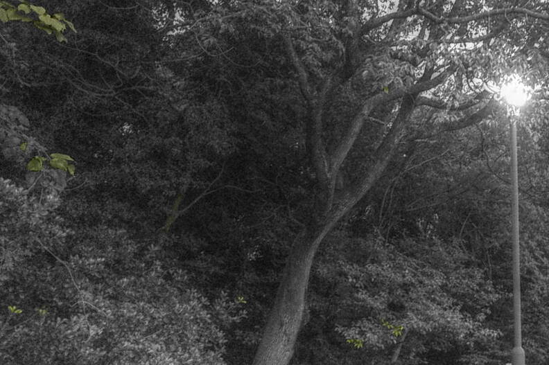 268_365.jpg