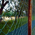 Fenced off