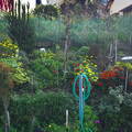 Colours